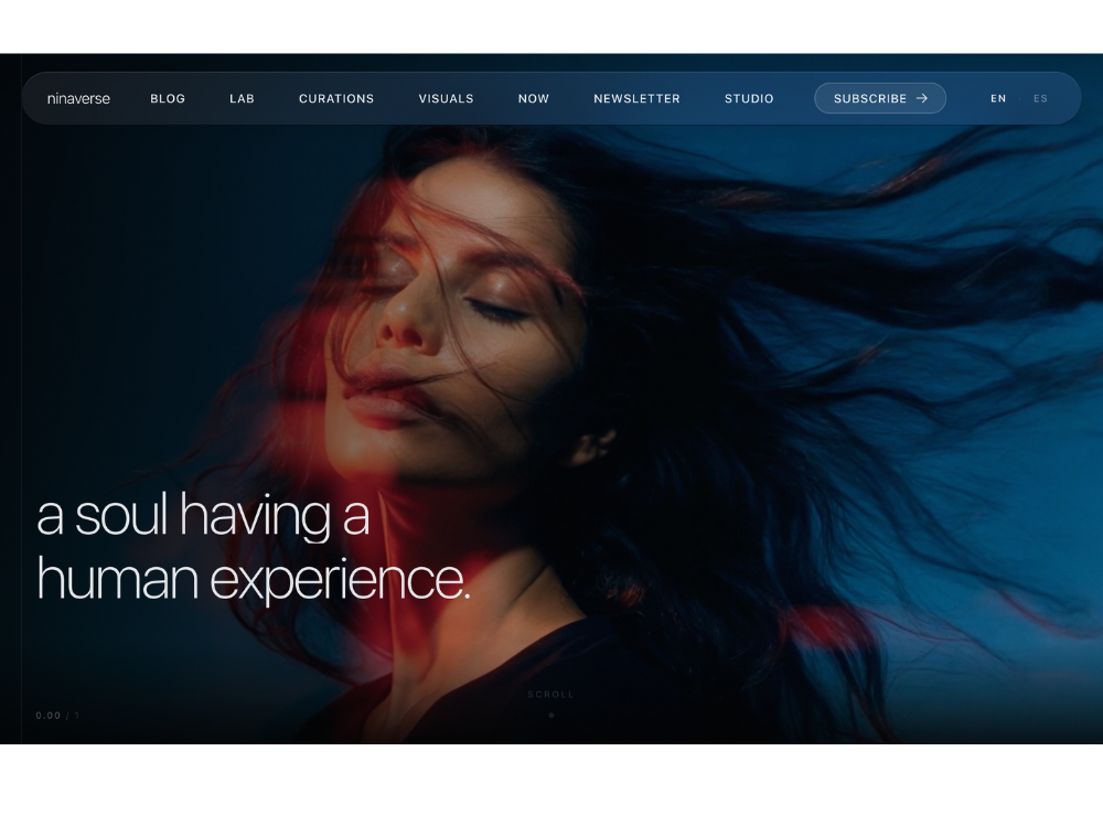 ninaverse.blog website